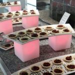 Alzador Led Iris - Imagen 3