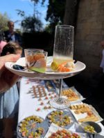 Party Plate Irrompible  con ranura para aguantar copas - Imagen 2